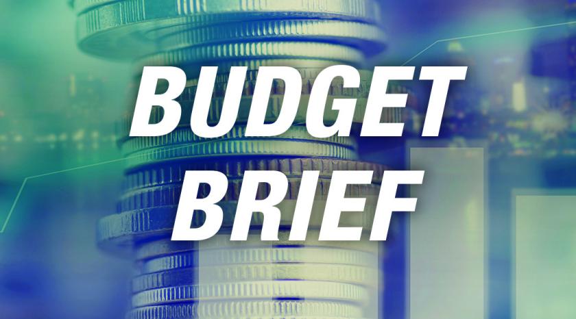 Budget Brief Thumbnail
