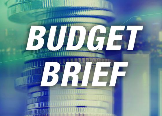 Budget Brief Thumbnail