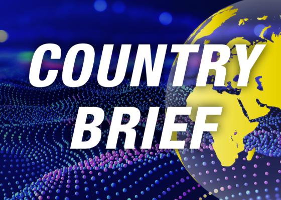 Country-Brief-Paper_Thumbnail_RD1.jpg