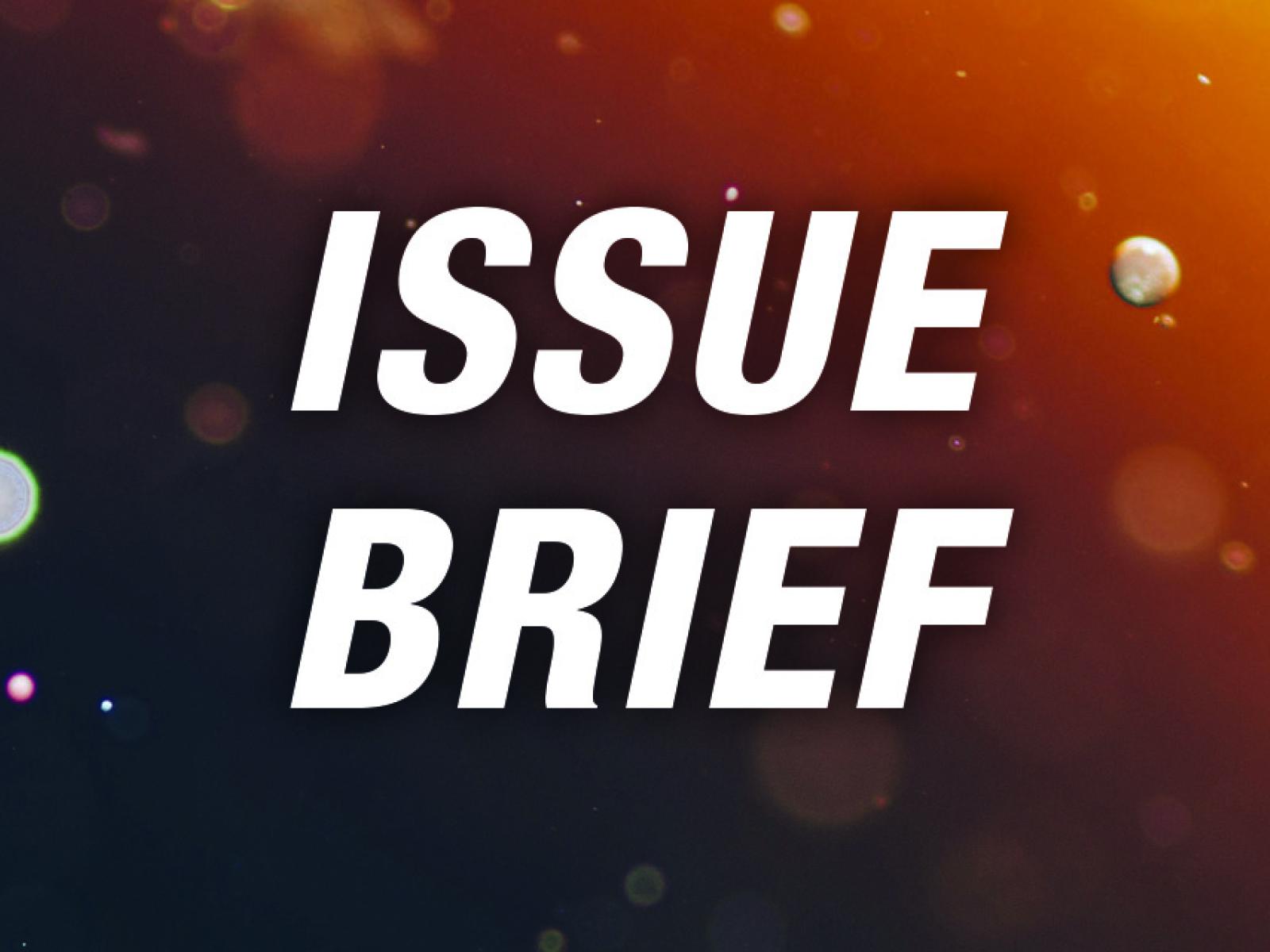 Issue Brief Header